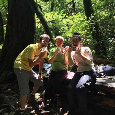 Yakushima Youth Hostel Buitenkant foto