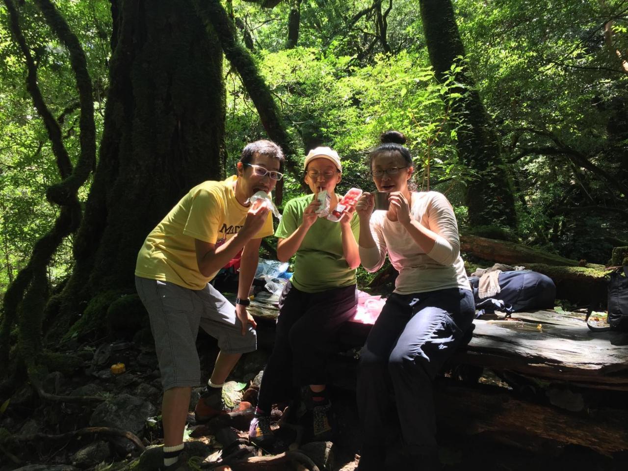 Yakushima Youth Hostel Buitenkant foto